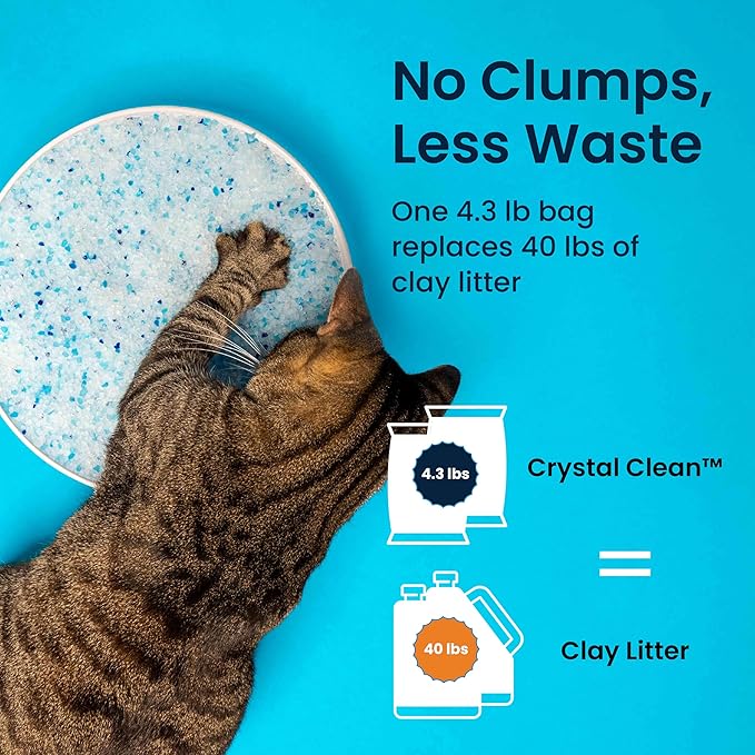 Crystal Clean Premium Fresh Scent Crystal Cat Litter with Odor Control (5X Faster), Best Lightweight, Non Clumping Kitty Litter to Absorb Urine, Dries Solid Waste (2X4.3 Lb Bags)