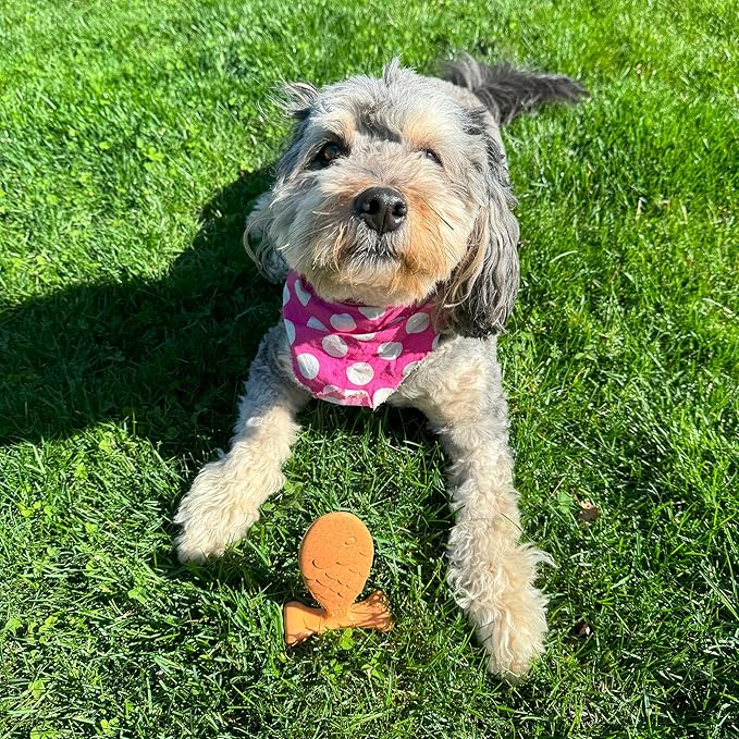 SPOT Bam-Bones Fish - Made with Strong Bamboo Fiber, Durable Long Lasting Dog Bone for Light to Moderate Chewers, Great Chew Toy for Adult Dogs & Teething Puppies Under 30lbs, 5.5in, Salmon Flavor