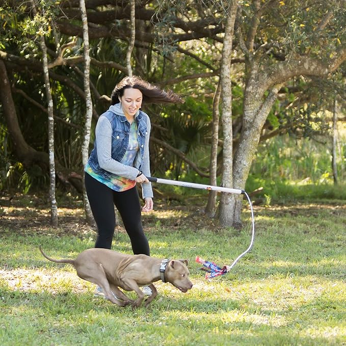 Squishy Face Studio Flirt Pole V2 Dog Exercise Toy Bundle with 2 Lures and 1 Tug, 36-inch, Rainbow, Purple/Blue Tie Dye