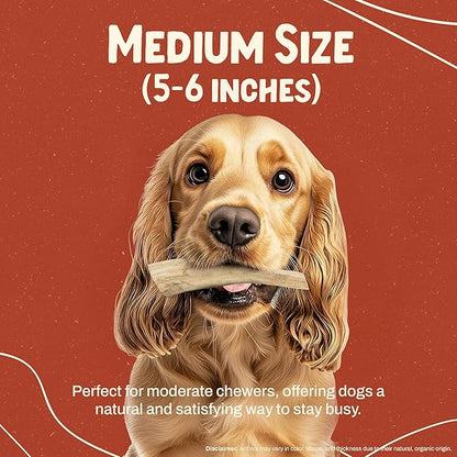 Heartland Elk Antlers for Dogs - Daily Dental Care Chews for Aggressive Chewers to Reduce Plaque & Prevent Destructive Behavior (Whole, Splinter Free, 5-6", Medium, 1-Pack, Grade A, USA Made)