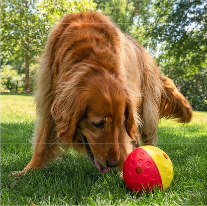 Outward Hound by Nina Ottosson Treat Tumble – Interactive Food-Dispensing Dog Puzzle Ball, Level 1 Beginner, Large, 5.75"