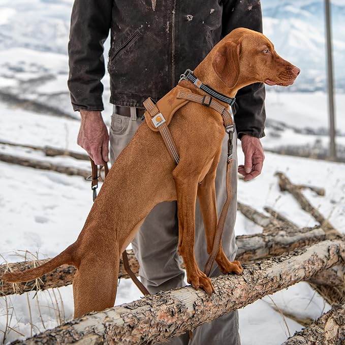 Carhartt Nylon Duck No Pull Dog Harness, Fully Adjustable Dog Harness with Quick Control Handle and Reflective Accents, Deep Wine, Small