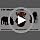 2-in-1 Dog Lick Bowl, Silicone Lick Mat & Stainless, Suction Cup - Image 7