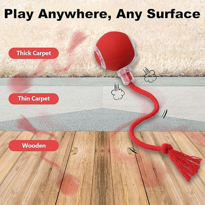 Quibron Interactive Cat Ball Toy with Flashing Lights & Bird Sounds - Multi-Surface Adaptive Roller, USB Rechargeable Motion-Activated Cat Teaser for Indoor Cats, Smart Enrichment Gift (Red)