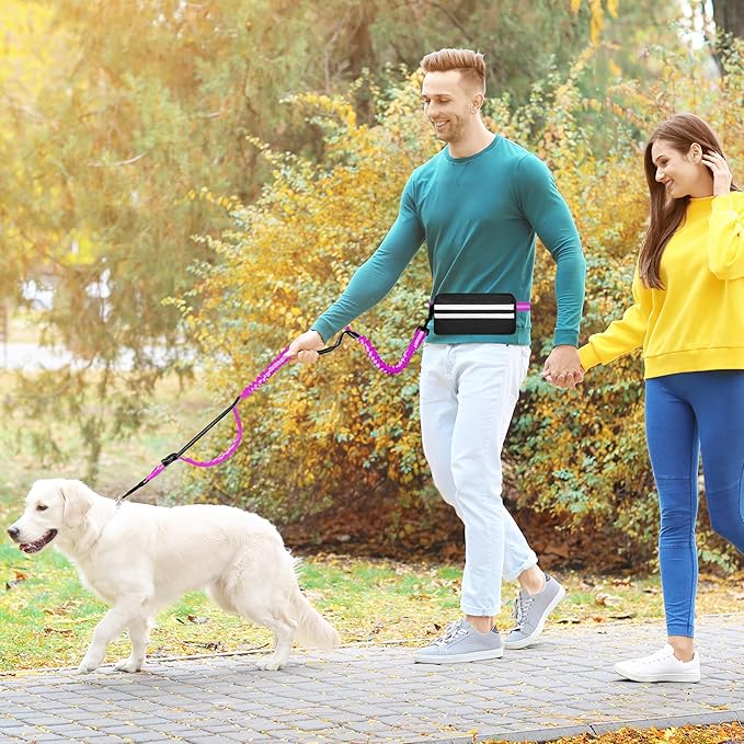 Hands Free Dog Leash with Zipper Pouch, Running Waist Leash for Dog Walking, Adjustable Waist Belt for Large Dogs, Reflective Bungee Design with Two Handle for Hiking, Training, Rose Red
