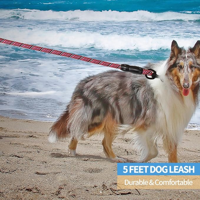 BAAPET 2/4/5/6 FT Dog Leash with Comfortable Padded Handle and Highly Reflective Threads for Small Medium and Large Dogs (5FT-1/2'', Black Pink)