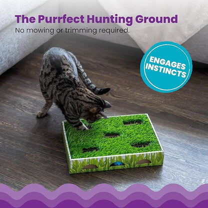 Catstages Grass Patch Hunting Box - Interactive Indoor Cat Toy with Faux Grass & 3 Jingle Balls - Encourages Exercise, Mental Stimulation & Natural Hunting Instincts