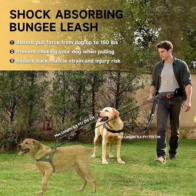 Hands Free Dog Leash with Zipper Pouch, Double Handle Running Reflective Bungee Waist Leash for Dog Walking, Training and Hiking for Small Medium Large Dogs (Black)