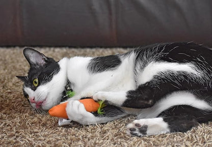 OurPet's 100-Percent North American Catnip Filled Carrot Cat Toy 24 Karat (Pack of 2)
