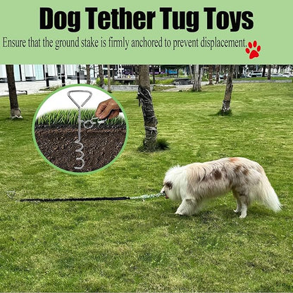 Outdoor Dog Toy Tether with Rope Tug of War, Interactive Exercise Dog Play Tether Pole in Ground Ball Rope Pull Bungee Toy for Small Medium Large Dogs