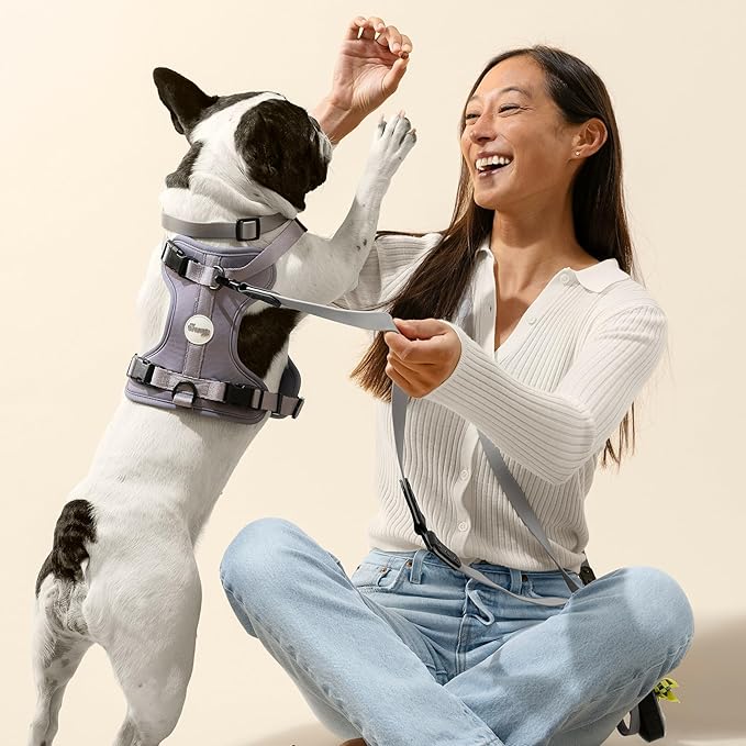 WLK1005N-5SET Luna Medium 8FT Adjustable 6-in-1 Waterproof Hands-Free Leash and Collar with LED Flashlight, Bag Dispenser, and Poop Bag Holder, Martini