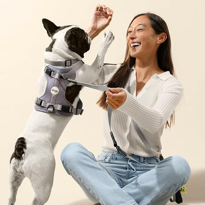 WLK1005N-5SET Luna Medium 8FT Adjustable 6-in-1 Waterproof Hands-Free Leash and Collar with LED Flashlight, Bag Dispenser, and Poop Bag Holder, Martini