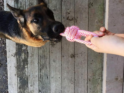 Jalousie 14 Pack Puppy Chew Dog Rope Toy Assortment for Small Medium Large Breeds