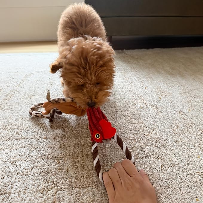 SPOT Skinneeez Tugs Mini Duck Tug Dog Toy – 14" Stuffing-Free Plush Toy with Rope Handle & Squeaker – Durable Tug Toy for Small & Medium Dogs, Moderate Chewers, Assorted Styles