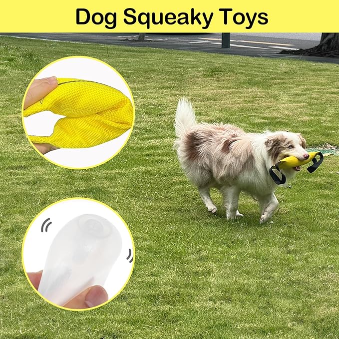 ASOCEA Dog Pool Toys,2-in-1 Dog Water Toys Interactive Tug Toys for Small to Large Dogs Bite Resistant Squeaky Floating Toy Perfect for Dock Diving Training Fetching Throwing Playing