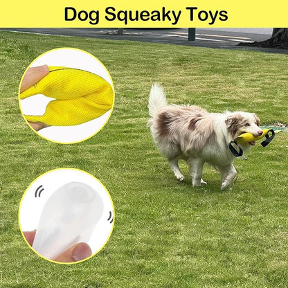 ASOCEA Dog Pool Toys,2-in-1 Dog Water Toys Interactive Tug Toys for Small to Large Dogs Bite Resistant Squeaky Floating Toy Perfect for Dock Diving Training Fetching Throwing Playing