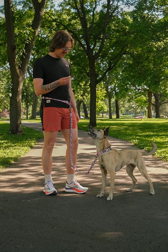 Stunt Puppy Stunt Runner Hands-Free Dog Leash, Frolic Summer