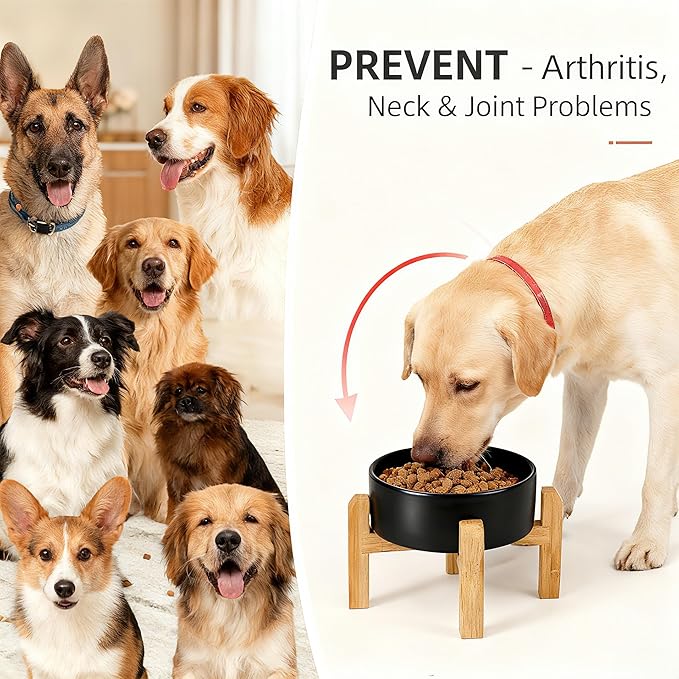 Elevated/Raised Ceramic Dog Bowl with Bamboo Stand，6 Inch 3.6 Cups Non Slip Heavy Weighted Single Pet Dish, for Small Medium Breed & Cats,Reduces Neck Strain Black