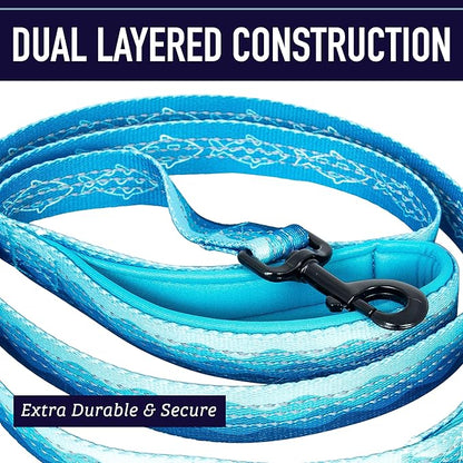 Double Handle 6 Foot Reflective Leash with Padded Handle - Pattern Collection