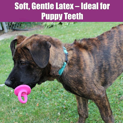 SPOT Puppy Pacifier Latex Dog Toy – Soft Binky-Shaped Chew for Teething Puppies & Small Dogs, 4.5 Inch, for Light Chewers Only, Squeaky Natural Latex, Assorted Colors