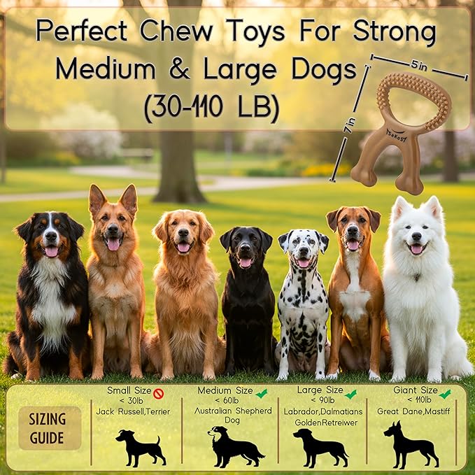 Chew Buddy – Durable Natural Rubber Dog Chew Toy for Medium & Large Dogs (30–110 lb) – Eco-Friendly, Teeth Cleaning, Tough Toy for Strong Chewers, for Dogs