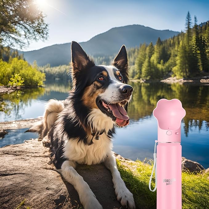 Stainless Steel Dog Travel Water Bottle, Vacuum Insulated Portable Dog Water Dispenser, Drink Cup and Snack Container On The Go, Outdoor Walking, Hiking, Travel (Pink)