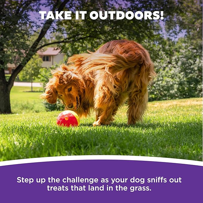 Outward Hound by Nina Ottosson Treat Tumble – Interactive Food-Dispensing Dog Puzzle Ball, Level 1 Beginner, Large, 5.75"