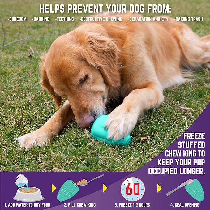 Chew King by Mammoth Dog Box Large- Durable Fetch Balls, Treater and Chewing Toy Collection, Teal (CM-10100-CS01)