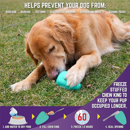 Chew King by Mammoth Dog Box Large- Durable Fetch Balls, Treater and Chewing Toy Collection, Teal (CM-10100-CS01)