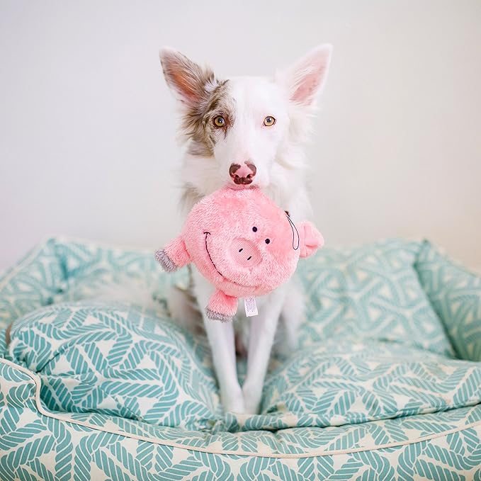 ZippyPaws Brainey Squeaky Plush Dog Toy, Pig