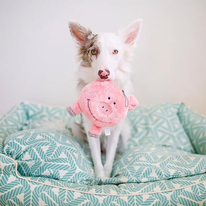 ZippyPaws Brainey Squeaky Plush Dog Toy, Pig