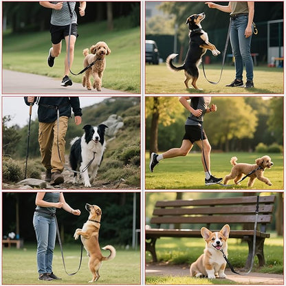 Hands Free Dog Leash, Multifunctional Crossbody Running for Dogs, Ultra-Light Dog Training Leash with Secure Clip, Short & Long Leashes, Adjustable Service Dog Leashes (Black Gray)