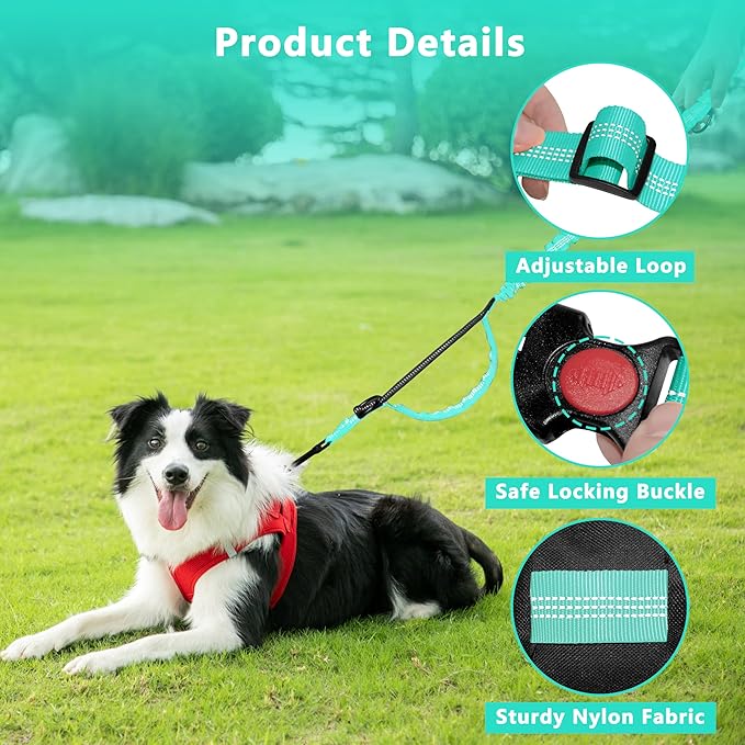 Hands Free Dog Leash with Zipper Pouch, Running Waist Leash for Dog Walking, Adjustable Waist Belt for Large Dogs, Reflective Bungee Design with Two Handle for Hiking, Training, Teal