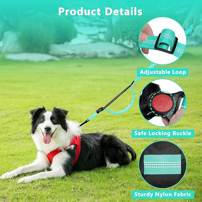 Hands Free Dog Leash with Zipper Pouch, Running Waist Leash for Dog Walking, Adjustable Waist Belt for Large Dogs, Reflective Bungee Design with Two Handle for Hiking, Training, Teal