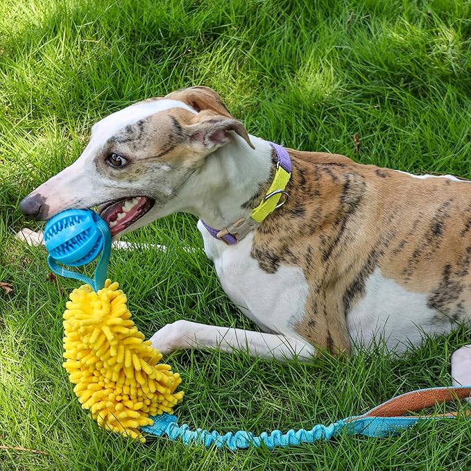 ETIAL Interactive Dog Tug of War Toy, Puppy Training Pull Toy with Bungee Rope for Exercise & Interactive Play Games, Dog Rope Toy for Small Medium Large Dogs Chase and Tug (Orange)