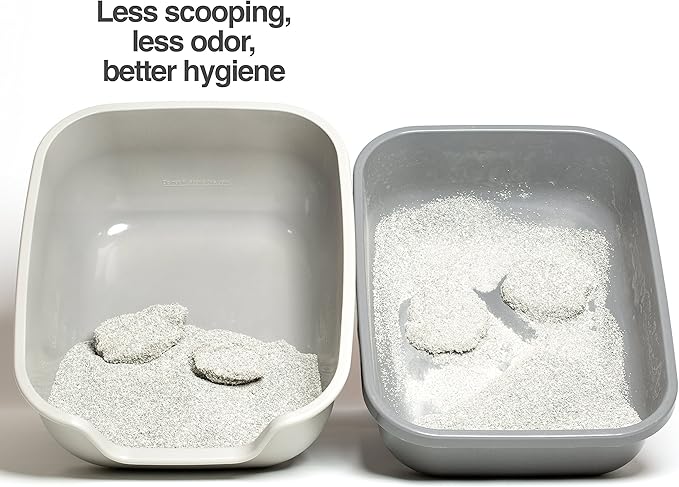 PetFusion BetterBox Non-Stick Large Litter Box, Pet Safe Coating for Easier Cleaning, Open Top Promotes Healthy Usage, Made of Stronger ABS Plastic