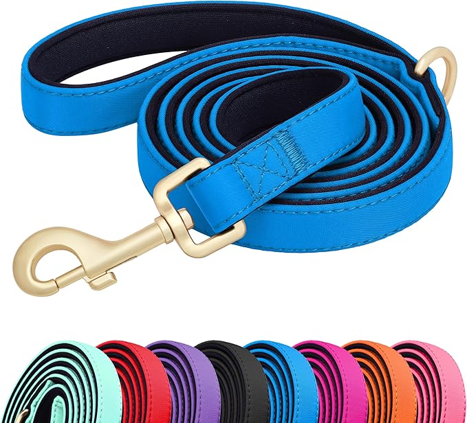 Didog 5FT Colorful Nylon Dog Leash with Soft Full-Length Padding, Lightweight and Durable Pet Leash for Small Dogs, Blue, S