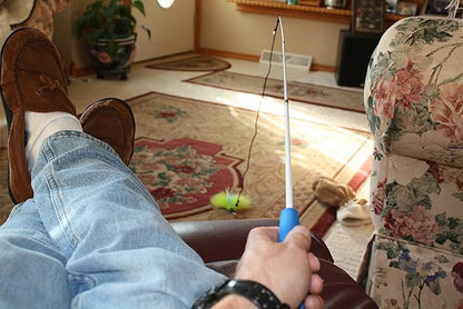 Pet Fit For Life - Retractable Feather Wand for Cats - Durable Interactive Cat Toy, Teaser Fishing Pole with Feather Lures - Fun Kitten Play Wand, 2 Feathers with String Attachment