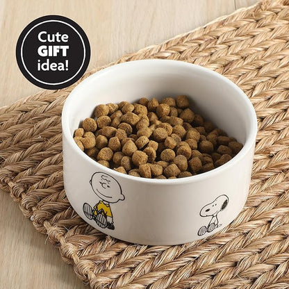 Peanuts Snoopy & Charlie Brown 6" Stoneware Dog Food Bowl – for Small to Medium Dogs – Cute Cartoon Pet Dish, Durable & Easy to Clean – Puppy Feeding