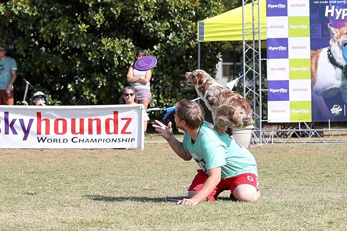 Hyperflite Pup Hyperflex Dog Flying Disc – for Dogs Under 16" – Ultra Flexible – Puncture Resistant – Competition Approved – 7" / 90g – Purple