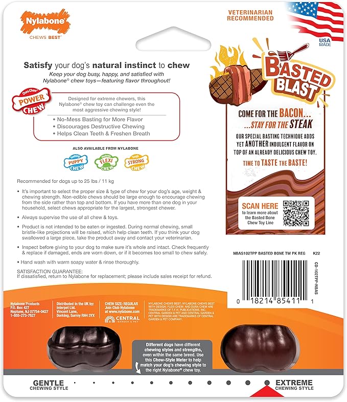 Nylabone Original & Textured Bone Power Chew Toy for Dogs, Durable & Tough Dog Toys for Aggressive Chewers, Basted Blast Bacon and Steak Flavor, Small Dogs - Up to 25 lbs, 2 Pack