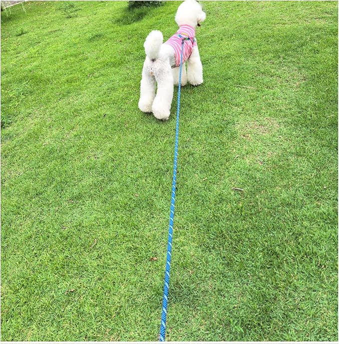 MayPaw Heavy Duty Rope Dog Leash, 3/6/8/10/12/15/20/30 FT Long Dog Lead Nylon Pet Leash, Soft Padded Handle Thick Lead Training Leashes for Large Medium Dogs (20ft * 1/2", Blue Black)