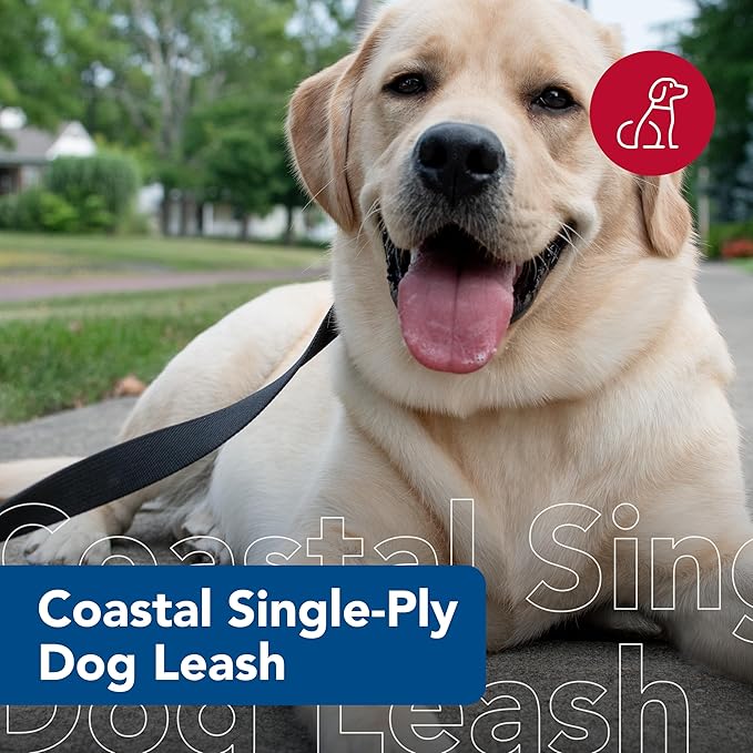 Coastal Pet Single-Ply Dog Leash - Sturdy Pet Leash - Comfortable & Stylish - Resists Fraying - Vibrant & Fade-Resistant Color - Black, 3/4" x 6'