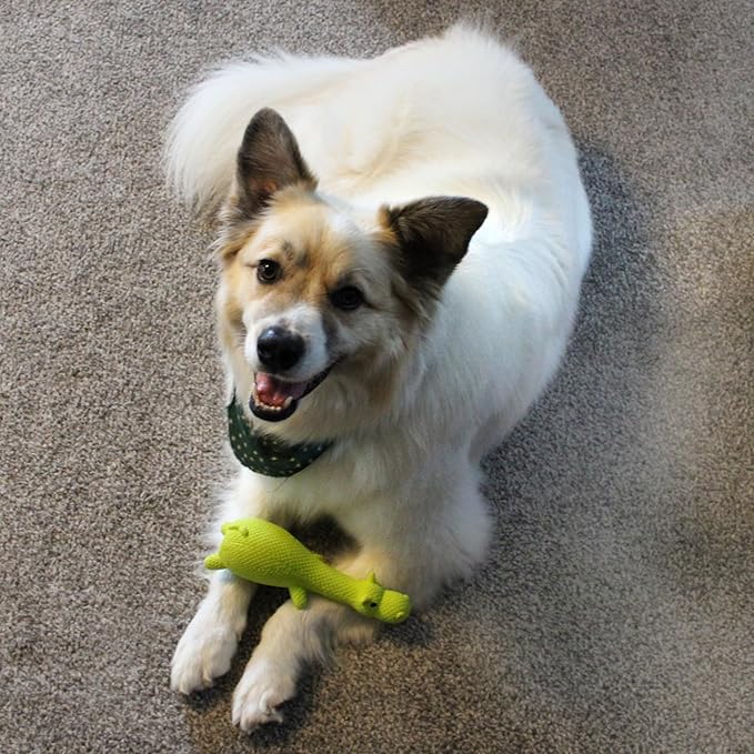 SPOT Latex Friends Dog Toys -Soft & Stuffing-Free with Honking Squeaker, 100% Latex, Brightly Colored, Ideal for Small/Medium Dogs & Light Chewers, 9-inch Assorted Styles