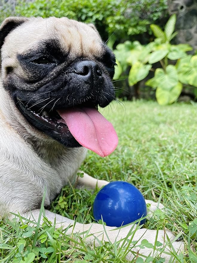 SuperChewer Tough Dog Ball Toy | Lifetime Replacement | Strong Natural Rubber | Great Dog Fetch Toy | Chew Toys for Dogs | Ultra Durable Chew Toys for Aggressive Chewers | Large Breed Tested