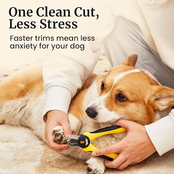 LED Dog Nail Clippers with Light, Trimmers with Protective Guard, Quick Sensor, Safety Lock and Nail File - Suitable for Large and Small Dogs & Cats (Yellow, LED)