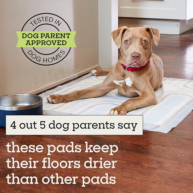 Pet Life Unlimited Smart Prints XL Puppy Pads for Dogs, Potty Training Pee Pads, 26 Count, 26" x 30", Leak-Proof, Super Absorbent, Quick-Dry, Patterned Pads with Odor Control, Made in USA