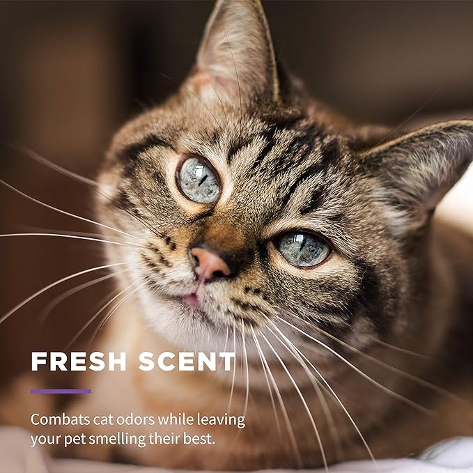 Wet Ones for Pets Freshening Multipurpose Wipes for Cats with Aloe Vera, Fresh Scent - Easy to Use Cat Cleaning Wipes for Pet Grooming, 100 Count - 12 Pack