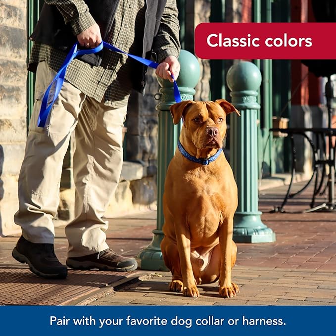 Coastal Pet Single-Ply Dog Leash - Sturdy Pet Leash - Comfortable & Stylish - Resists Fraying - Vibrant & Fade-Resistant Color - Blue, 5/8" x 6'