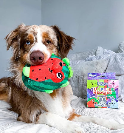 Outward Hound Surprise Hedgies Dog Toy - UNbox and Delight, Collect All 3 Grunting Hedgehog Dog Toys (Pack of 2)